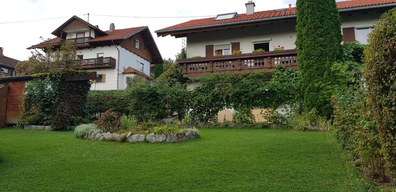 Ferienwohnung Bosch Seeg Buitenkant foto