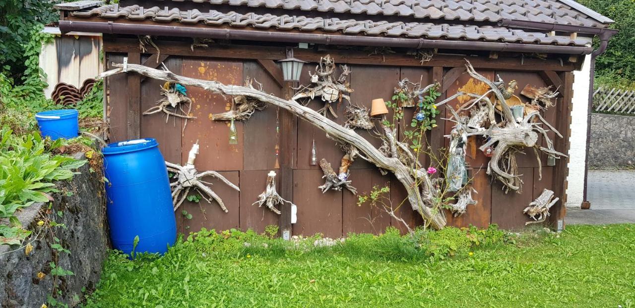 Ferienwohnung Bosch Seeg Buitenkant foto