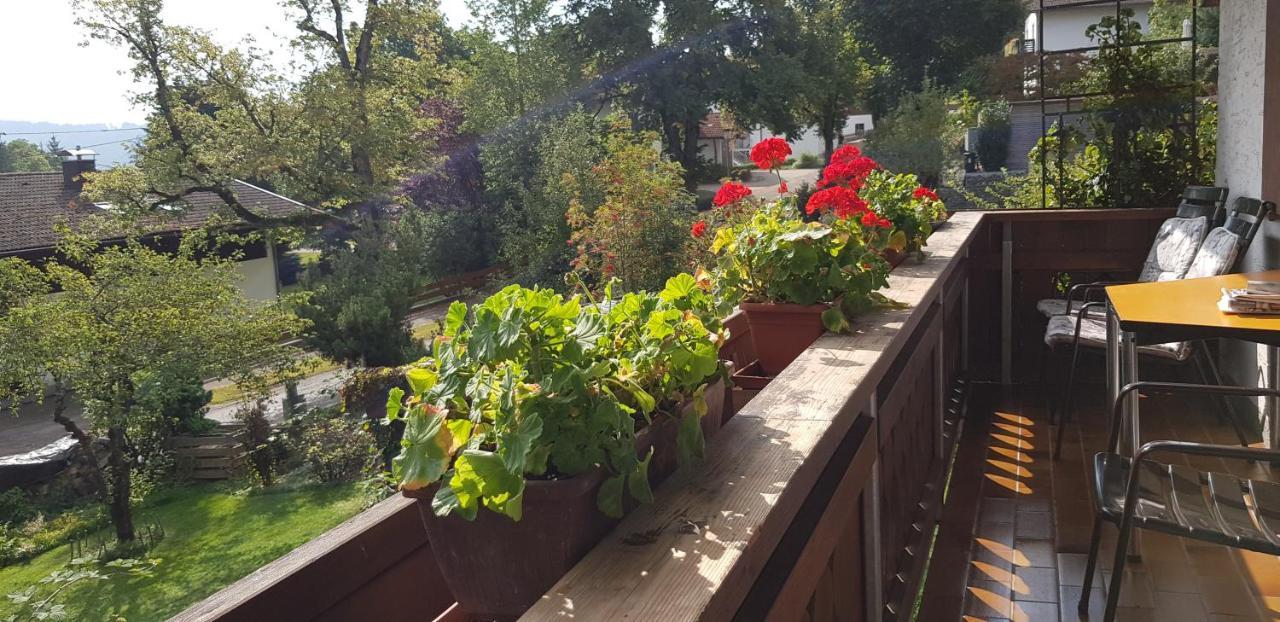 Ferienwohnung Bosch Seeg Buitenkant foto
